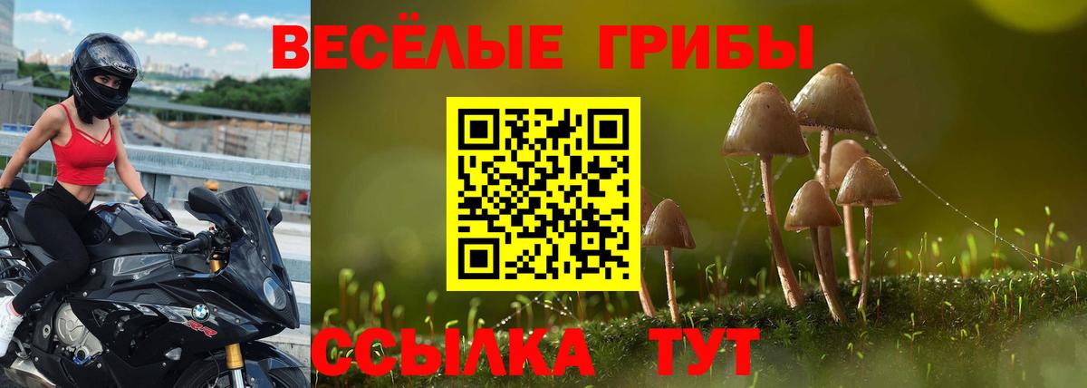 Галлюциногенные грибы прущие грибы Нальчик