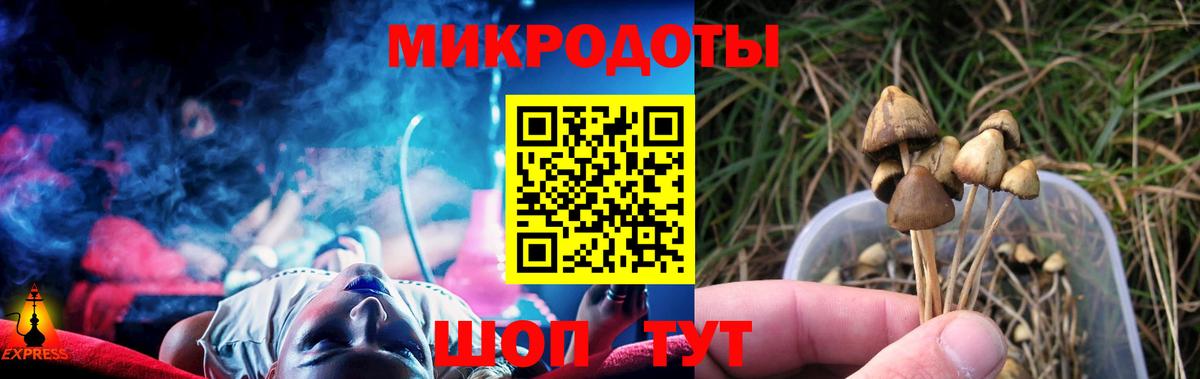 Нальчик  Псилоцибиновые грибы мицелий  Вход с VPN 